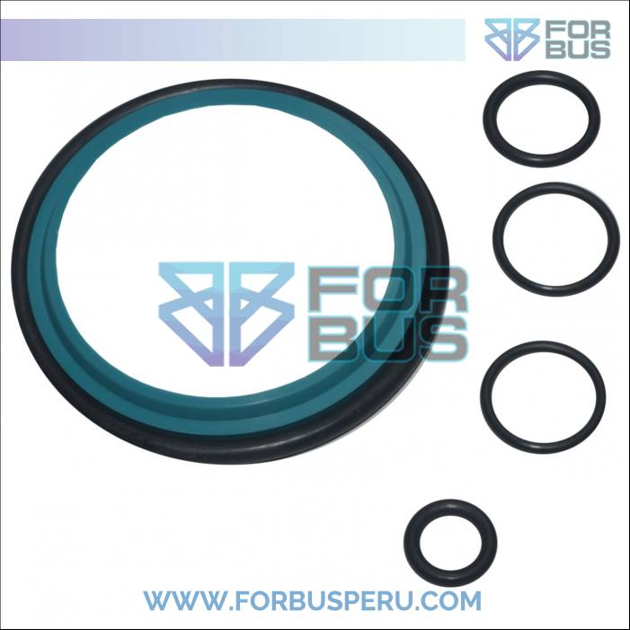 
                KIT DE REPARO DE VALVULA DE EVACUACION DE SANITARIO MARCOPOLO