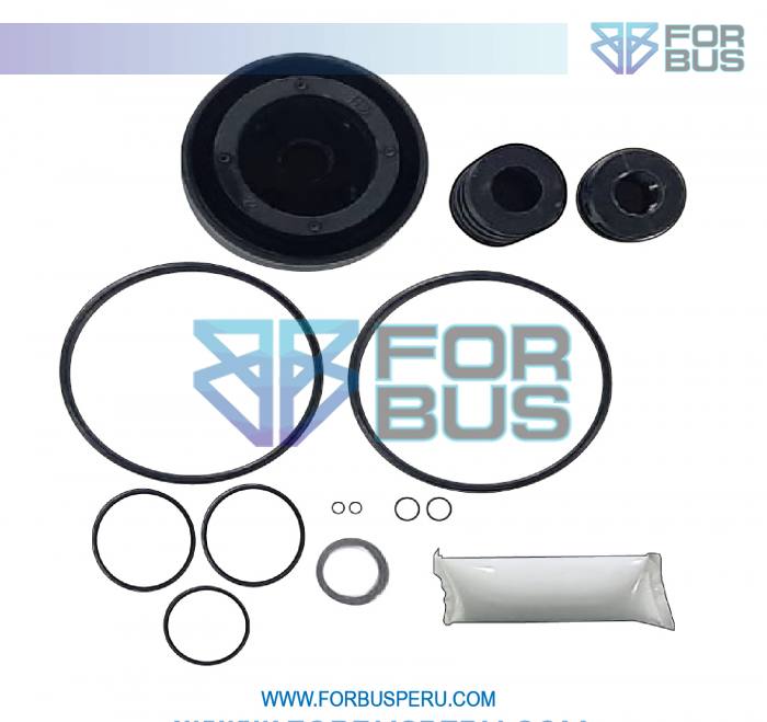 
                KIT DE REPARO DE PISTON DE PUERTA PANTOGRAFICO