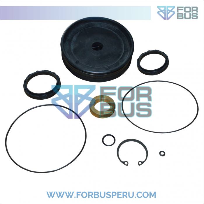 
                KIT DE REPARO DE PISTON PUERTA CENTRAL BMP