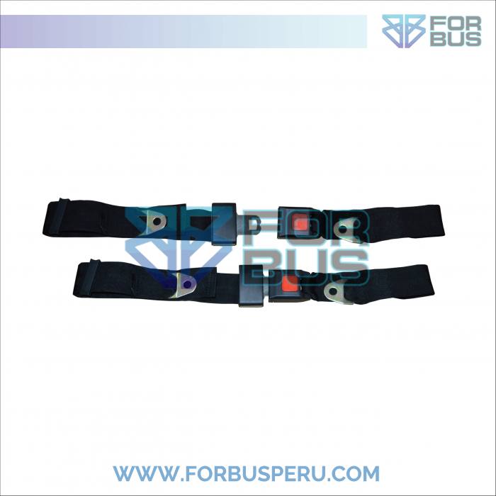 
                CINTURON DE SEGURIDAD 2 PUNTAS ALTERNO AUTOFRIEND