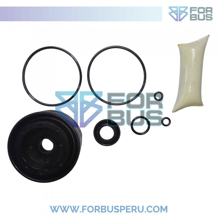 
                KIT DE REPARO PISTON DE PUERTA 5690 FNA