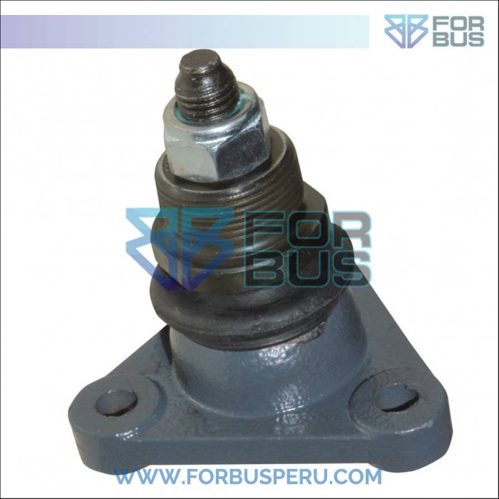 
                ROTULA TERMINAL TRIANGULAR DE PUERTA PRINCIPAL