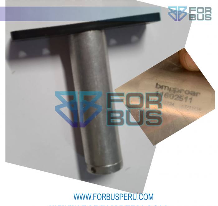 
                PISTON TRABA PUERTA SEPARACION MARCOPOLO G7