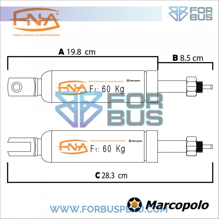 
                PISTON DE ASIENTO 60 KG MARCOPOLO G8
